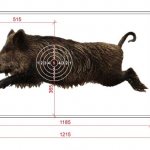 &#39;Dimensions of the target &quot;Running boar&quot;&#39; width=&quot;545