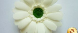 Foamiran gerberas: luxurious flowers for decoration and interior