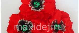 How to make a poppy from fabric with your own hands: instructions on how to make a red poppy step by step with a photo selection