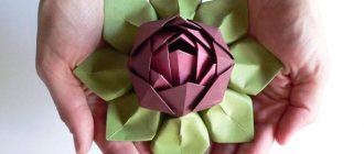 How to make origami flowers from paper: 8 best patterns