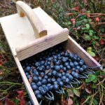 How to make a homemade berry harvester
