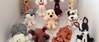 How to make a dog from plasticine: husky, spitz, shepherd, chihuahua, dachshund. Master classes step by step with photos 