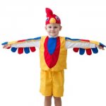 DIY cockerel costume for a boy – colorful template. How to sew a beautiful cockerel costume for a boy with your own hands 
