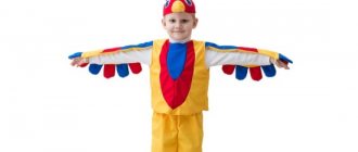 DIY cockerel costume for a boy – colorful template. How to sew a beautiful cockerel costume for a boy with your own hands 
