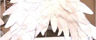 Wings made of paper