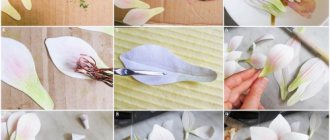 DIY paper lilies: master class with step-by-step instructions