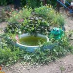 An original country pond from an old plastic basin