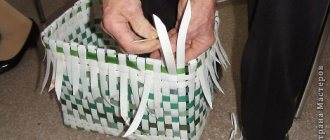 Weaving baskets from packing tape for beginners with photos and videos