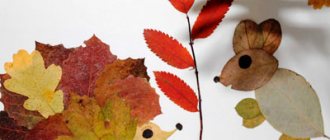 Crafts from autumn leaves for kindergarten