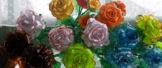 Rose from a plastic bottle: master class and step-by-step instructions