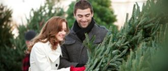 Ways to install a Christmas tree