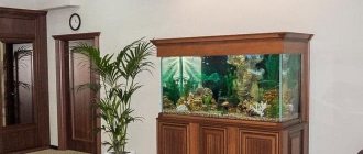 DIY stands for aquariums (stands, aquarium cabinet, table, stand): manufacturing, how to make, assembly